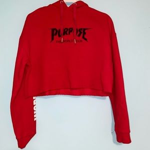 Justin Bieber’s purpose tour hoodie !